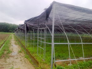 兴国关源钢制品加工厂专业雨棚加工 从设计到施工的全方位服务